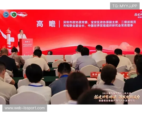 体育产业视角下球队运营模式对竞技水平与经济效益协同发展的研究